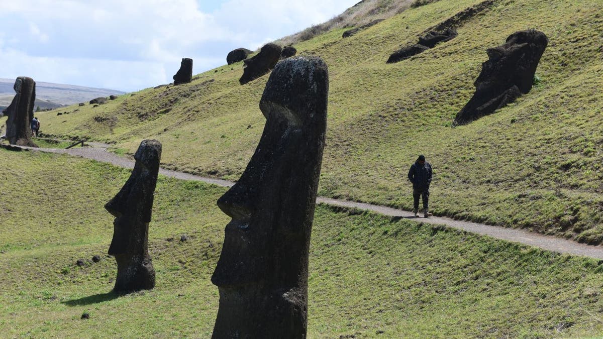 Easter Island ‘ecocide’ myth debunked in new scientific study