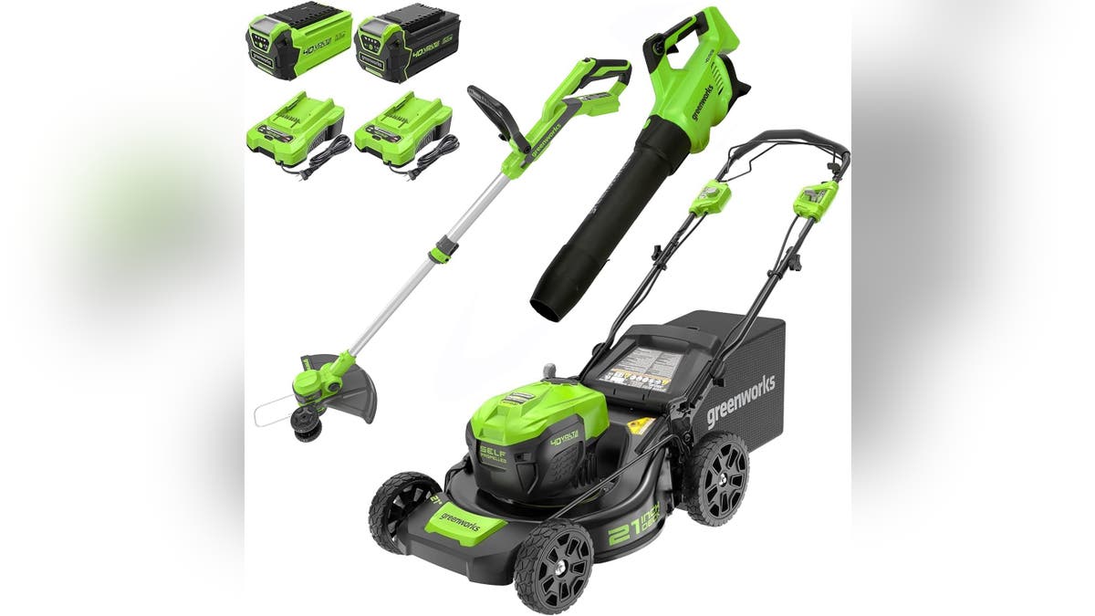 Save big with these picks if you want to go green with your lawn care