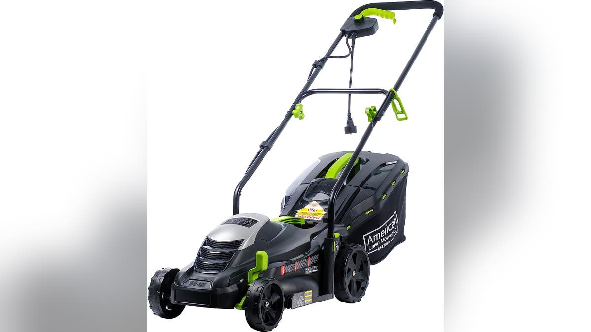 Save big with these picks if you want to go green with your lawn care