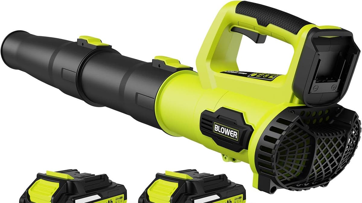 Save big with these picks if you want to go green with your lawn care