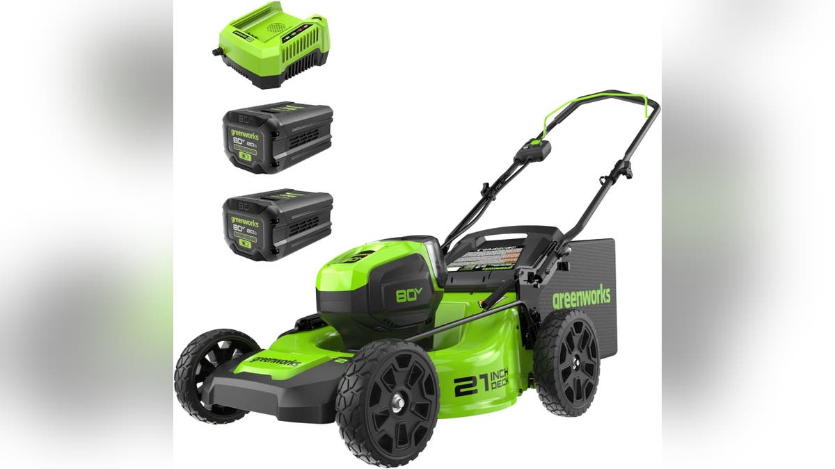 Save big with these picks if you want to go green with your lawn care