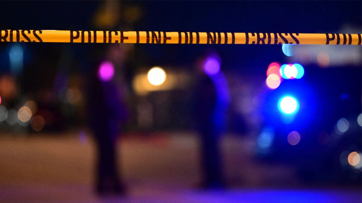 New York Infant mauled, killed by dogs in attic while parents smoked marijuana: Police