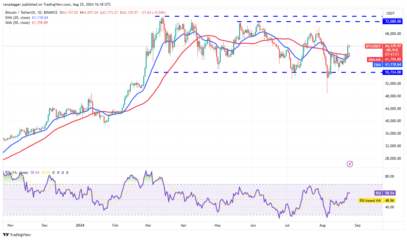 MATIC, SUI, RENDER and TAO could soar if Bitcoin holds $64K
