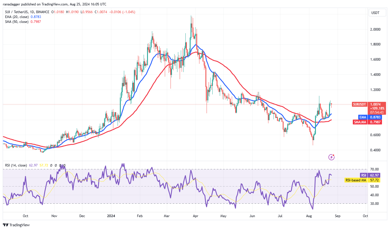 MATIC, SUI, RENDER and TAO could soar if Bitcoin holds $64K